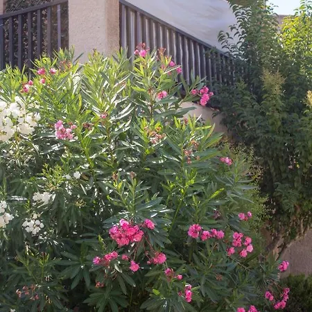 Residenza Mediterranea * Cannigione